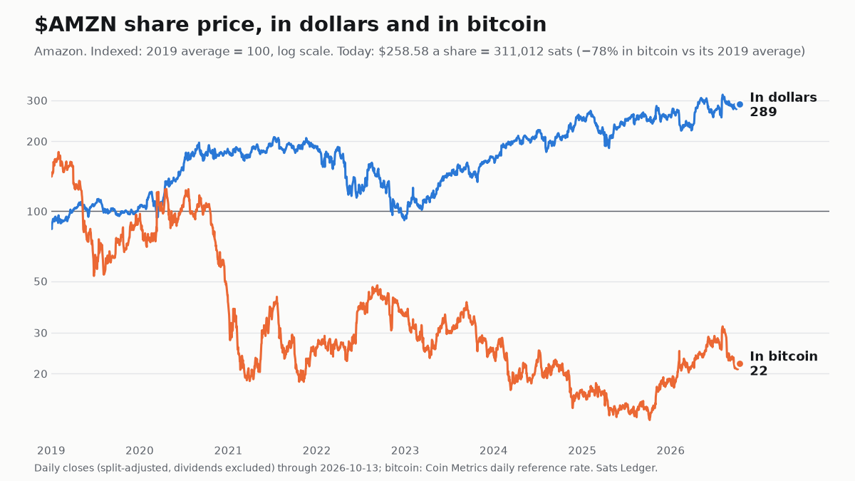 Amazon share price since 2019, in dollars and in bitcoin, both indexed to 100